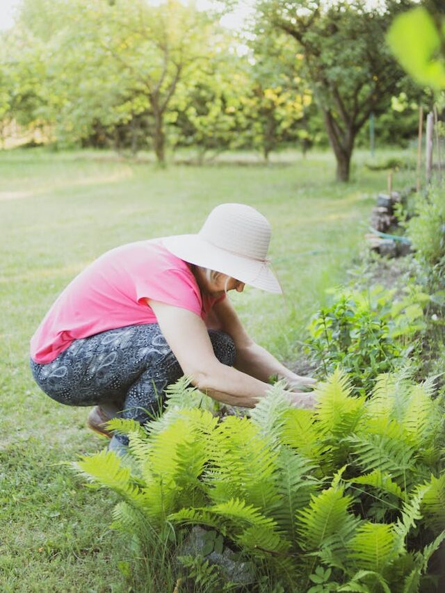 8 Easy Herbs To Grow In Your Garden