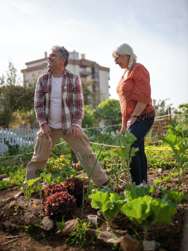 Avoid These 7 Watering Mistakes In Your Vegetable Garden